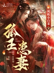 孤王患妻沈银翎小说阅读